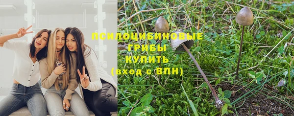 винт Абаза