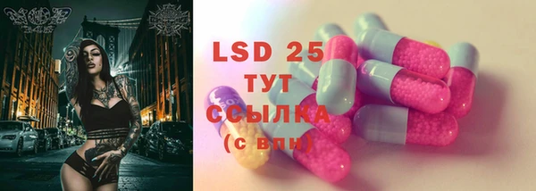 винт Абаза