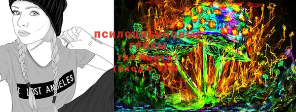 гидропоника Абинск