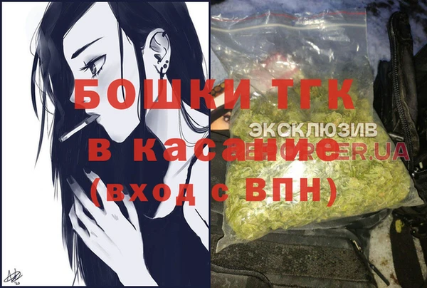 винт Абаза