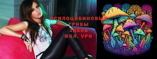 винт Абаза