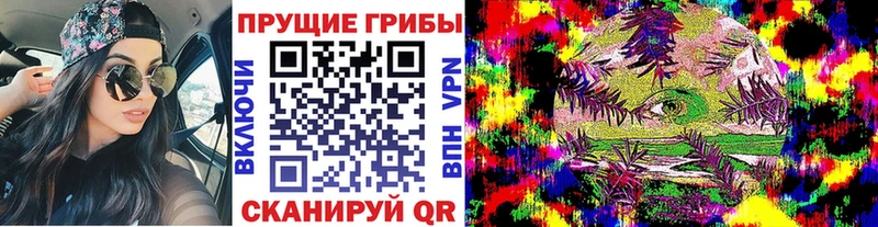 Галлюциногенные грибы мухоморы  купить закладку  Карпинск 
