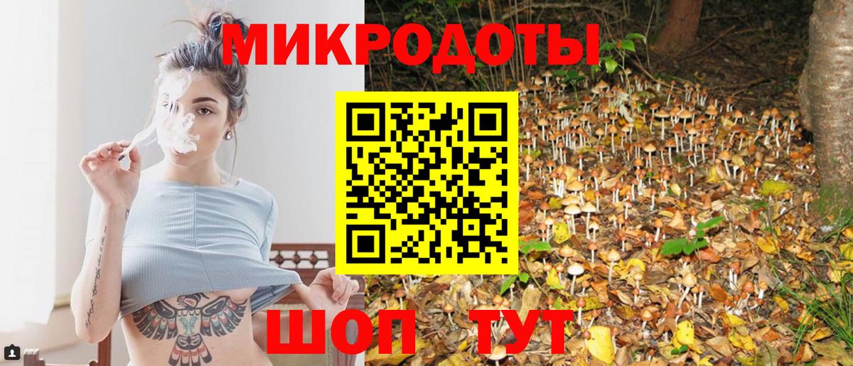 Псилоцибиновые грибы Psilocybine cubensis  Галлюциногенные грибы прущие грибы  Карпинск  Вход с VPN 