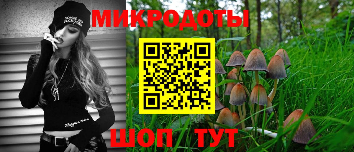 Галлюциногенные грибы Psilocybe Карпинск